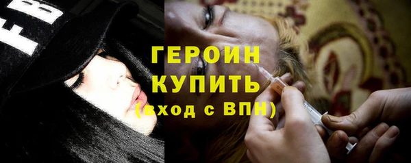 амф Гусев