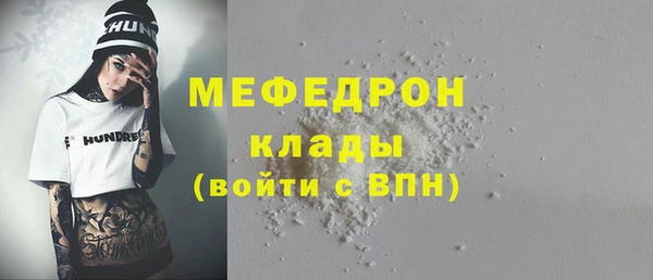 амф Гусев