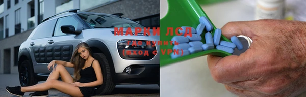 амф Гусев