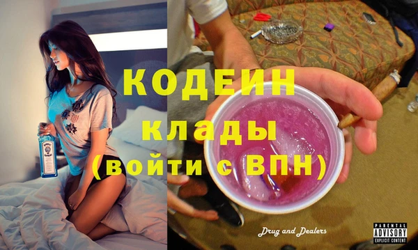 амф Гусев