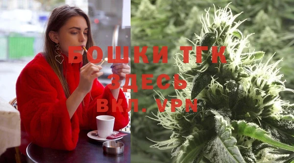 ешки Гусь-Хрустальный