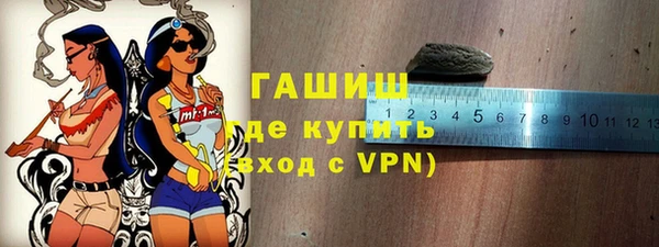 амф Гусев