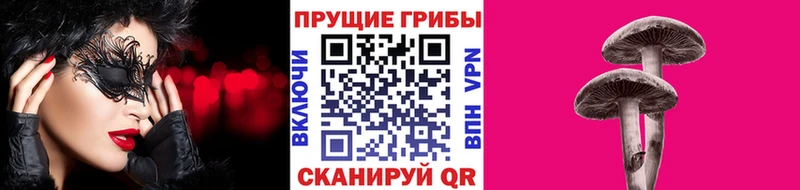 omg ссылка  купить наркотик  Новохопёрск  Галлюциногенные грибы Magic Shrooms 